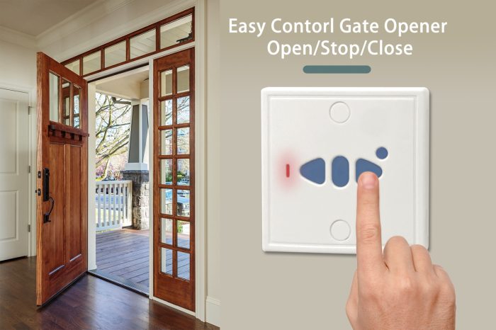 Wall Remote (Type B) - Imagen 3