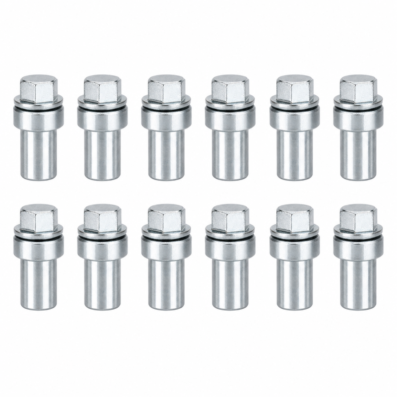 Gear Rack Fixing Nut (12pcs)